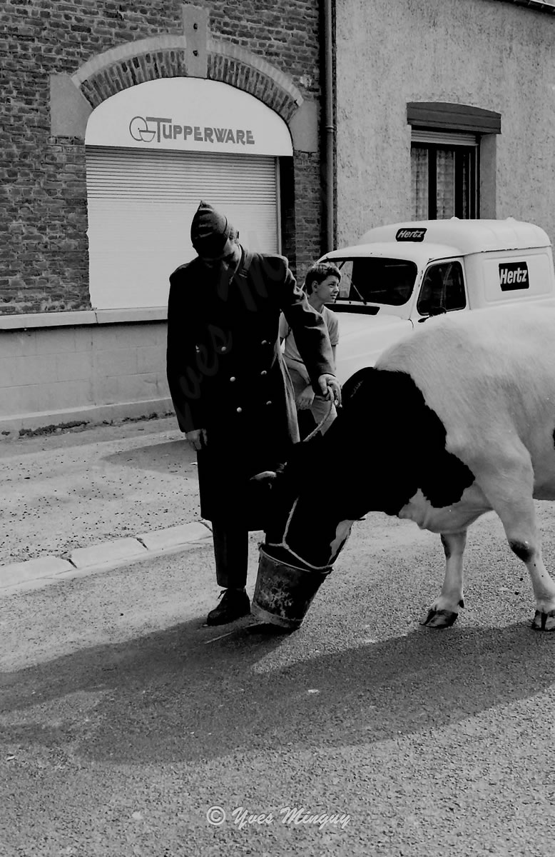 La vache et le prisonnier, photos de rue Tilloy les