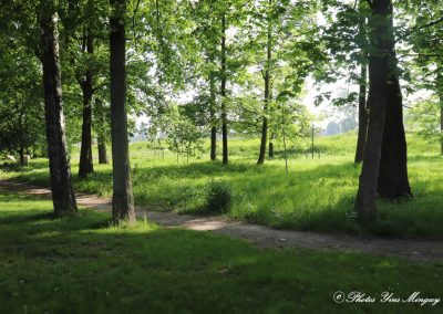 Libercourt Ville Clairière : Balade cité de la forêt