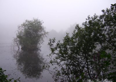 La brume sur le Marais Nostrum un matin d'automne