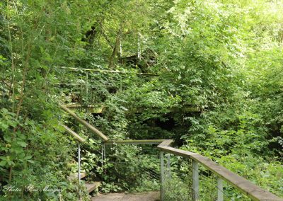 Un dédale de chemins d'escaliers en pleine forêt