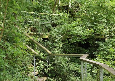 Un dédale de chemins d'escaliers en pleine forêt