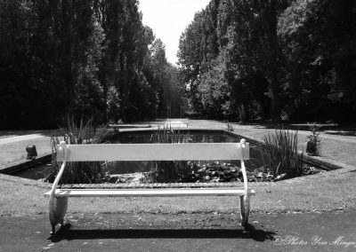 Parc Fondation Septentrion : un bassin