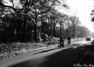 20 Km on peut faire du vélo en forêt