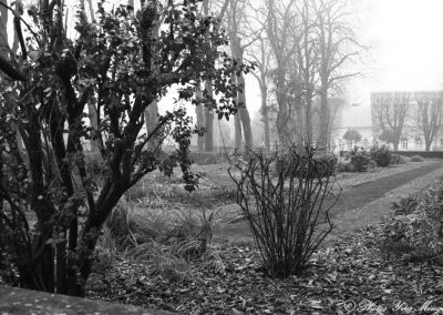 Jardin Henri et Remy Duhem jour de brume
