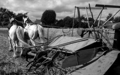 La fête des vieux tracteurs 2024