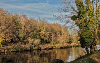 La nature et l’automne