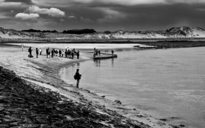 Balade à Berck plage et à la plage aux phoques